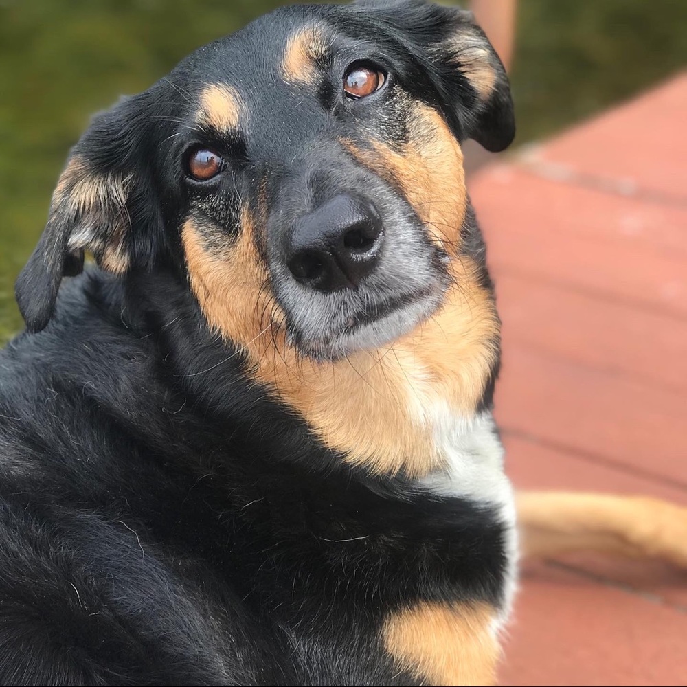 Meet your Posher, Mandy